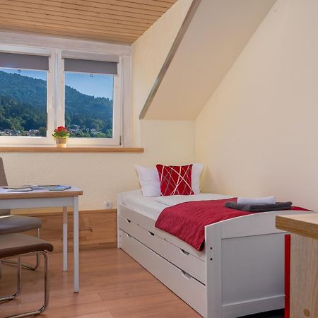 Pension Bayerwald Mit Ferienwohnung Bodenmais Zewnętrze zdjęcie